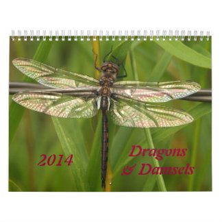 Kalender för 2014 sländor och Damselflies