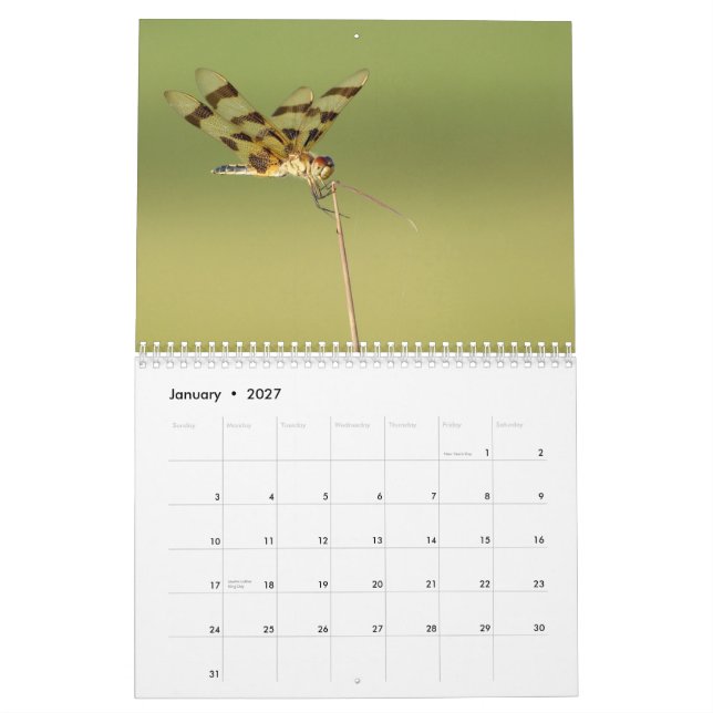 Kalender för 2014 sländor och Damselflies (Jan 2027)