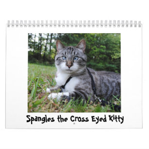 Kalender för 2014 Spangles