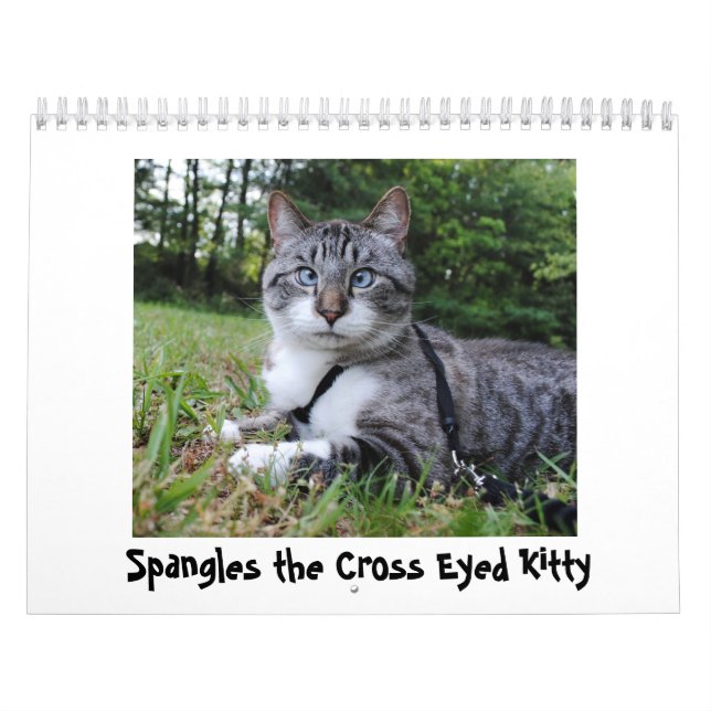 Kalender för 2014 Spangles (Omslag)