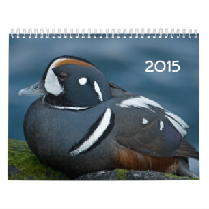 Kalender för 2015 anka