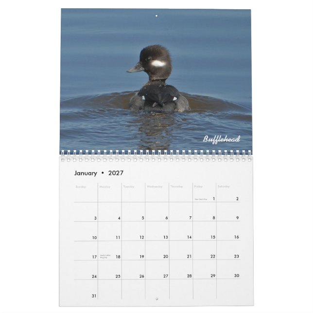 Kalender för 2015 anka (Jan 2027)