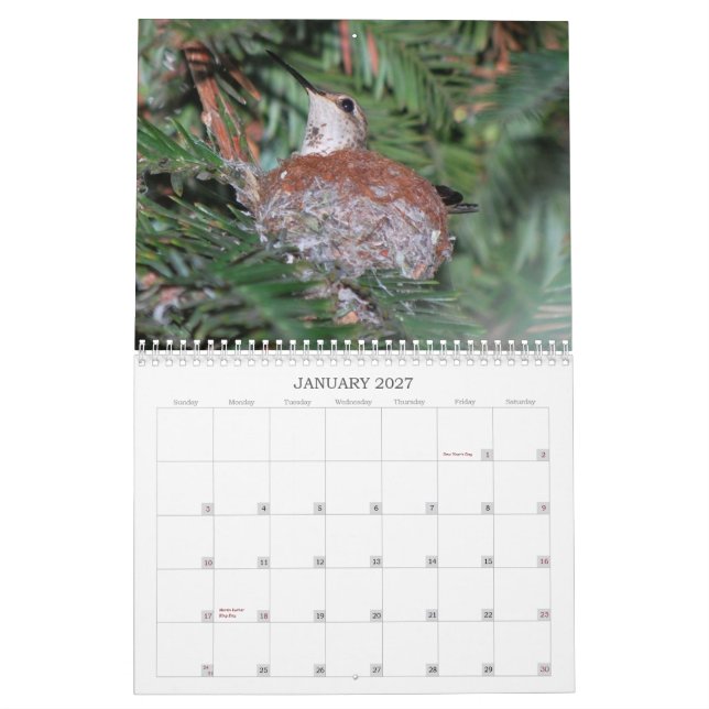 Kalender för 2015 Hummingbirds (Jan 2027)