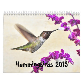 Kalender för 2015 Hummingbirds