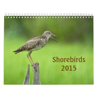 Kalender för 2015 Shorebirds