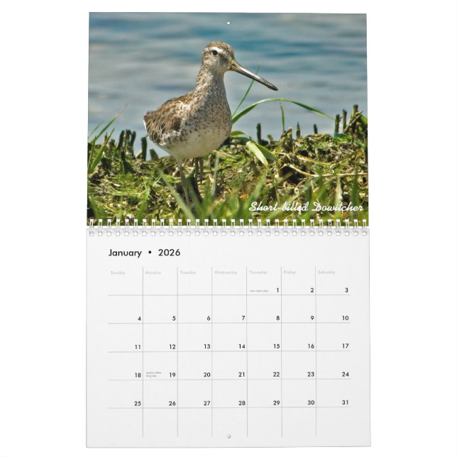 Kalender för 2015 Shorebirds (Jan 2026)