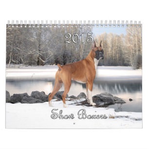Kalender för 2015 Showboxare