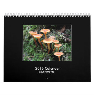 Kalender för 2016 champinjon