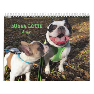 KALENDER FÖR 2017 BUBBA-LOUIE
