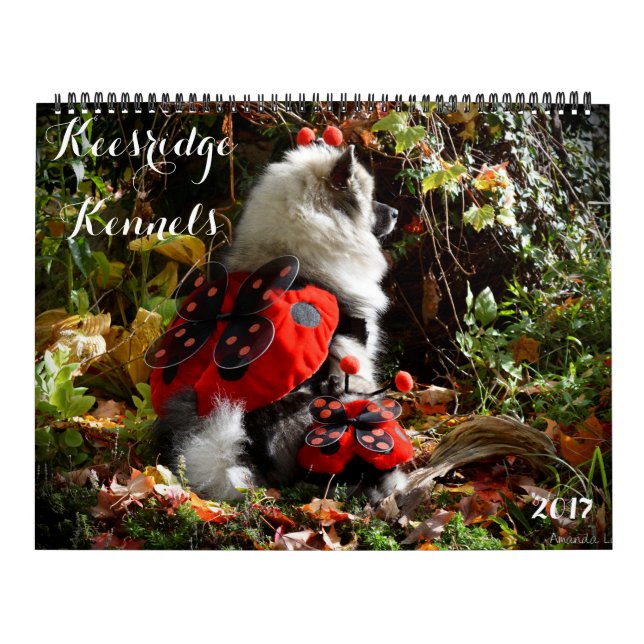 KALENDER FÖR 2017 KEESRIDGE-HUNDKOJOR (Omslag)