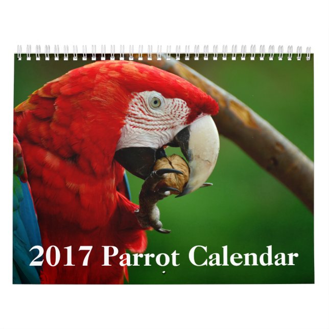 Kalender för 2017 papegoja (Omslag)
