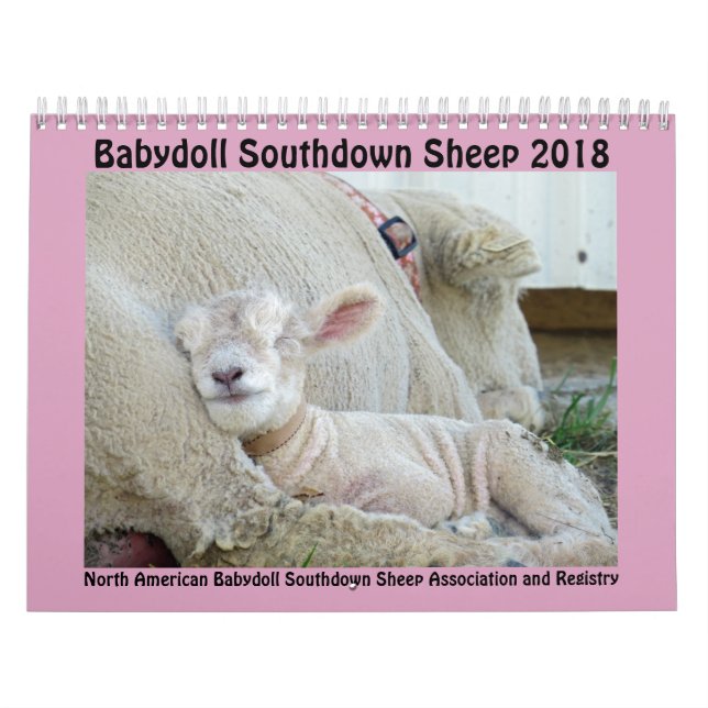 Kalender för 2018 får för NABSSAR-Babydoll (Omslag)