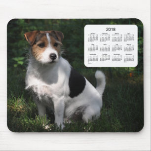 Kalender för 2018 hund vid den Janz jackRussell Musmatta