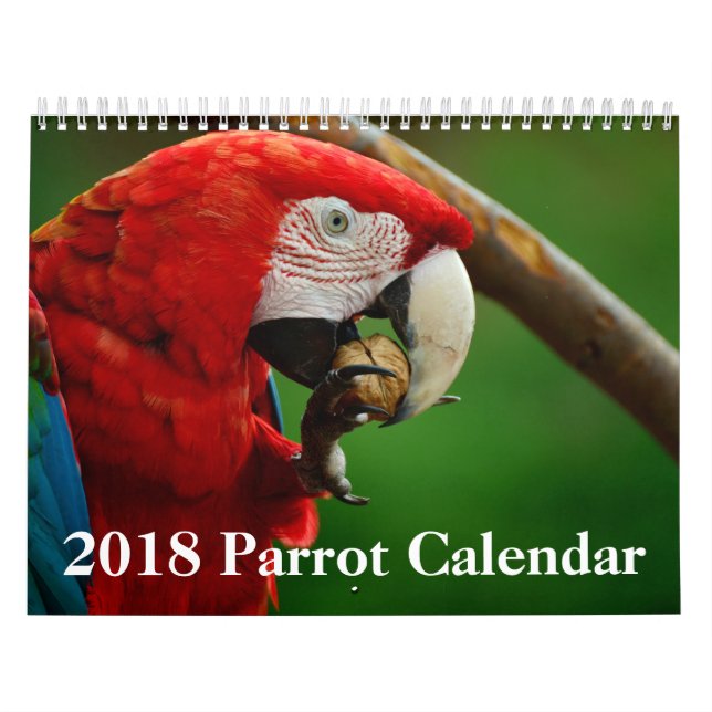 Kalender för 2018 papegoja (Omslag)