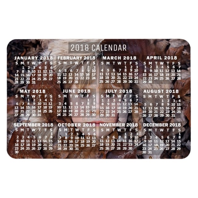 Kalender för 2018 (se beskrivning för ny version) magnet (Horisontell)