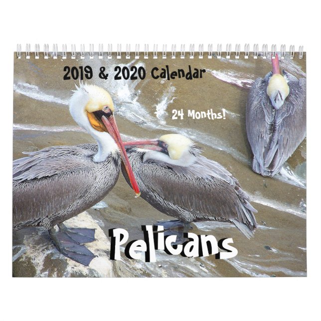 kalender för 2019 2020 djur för (Omslag)
