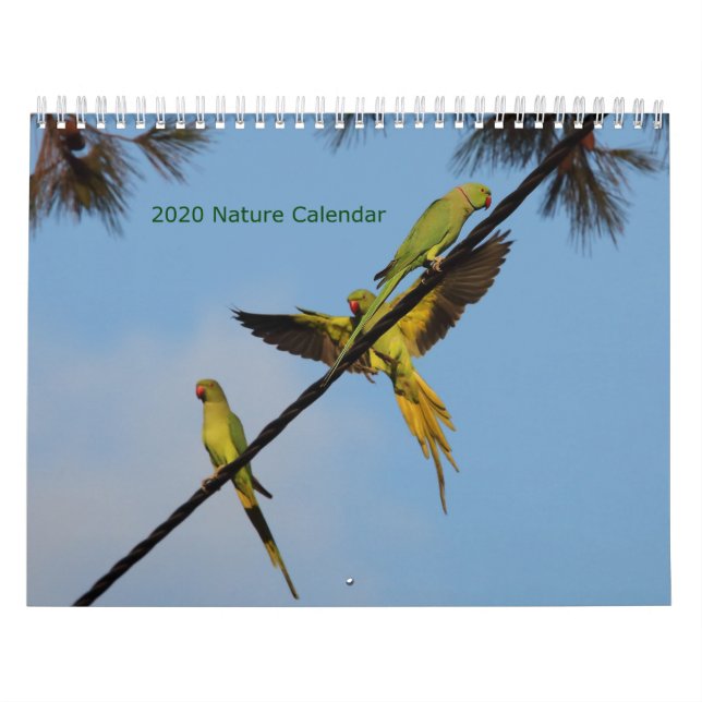 Kalender för 2020 (Omslag)