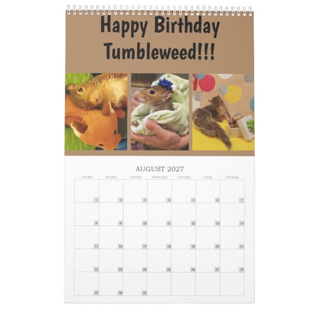 Kalender för 2020 (Aug 2027)