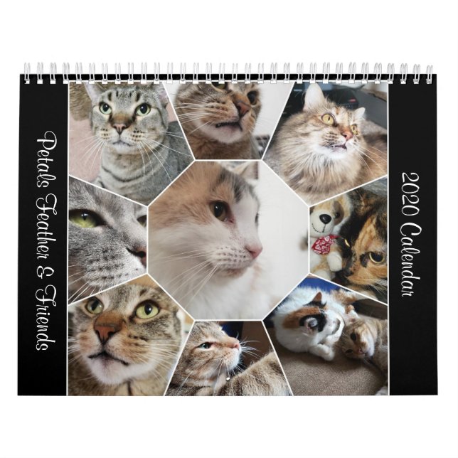 Kalender för 2020: Petals Feather & Friends (Omslag)