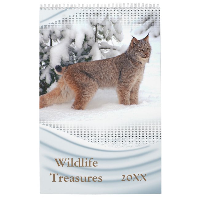 Kalender för 2021 för Wildlife Treasures Wall (Omslag)