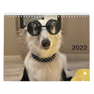 Kalender för 2022 Silken Windhounds (dold up/Fånig