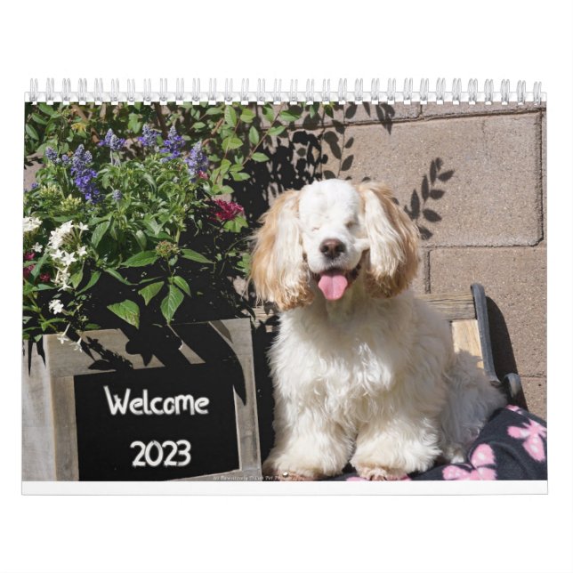 Kalender för 2023 för ljus och Hund (Omslag)