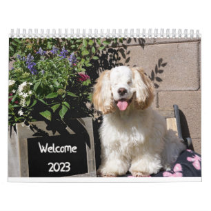 Kalender för 2023 för ljus och Hund