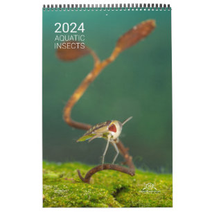 Kalender för 2024 - insektra vattendrag