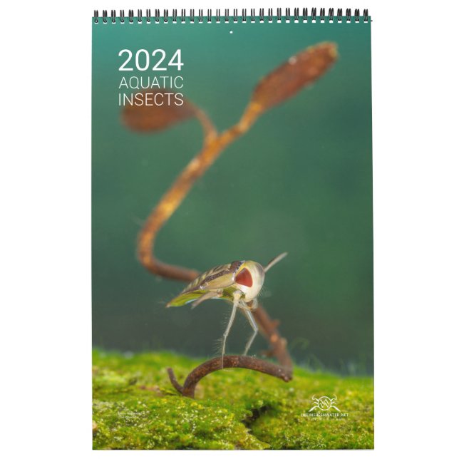 Kalender för 2024 - insektra vattendrag (Omslag)