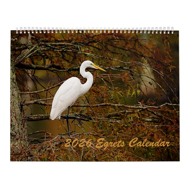 Kalender för 2025 (Omslag)
