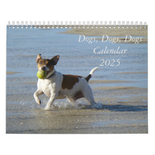 Kalender för 2025 Hundar, Hundar, Hundar