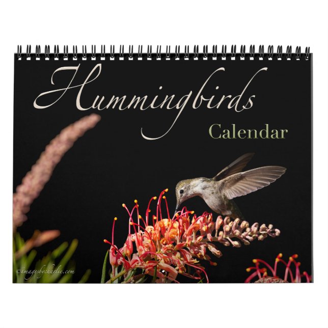Kalender för 2026 (Omslag)