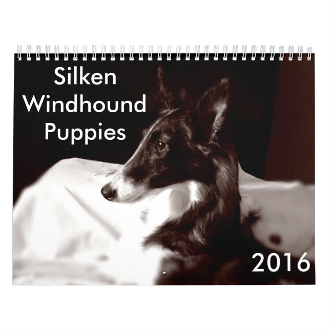 kalender för 4 2016 Silken Windhound valpar (Omslag)
