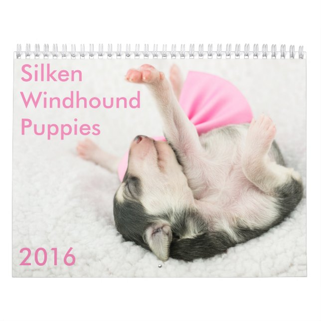 kalender för 5 2016 Silken Windhound valpar (Omslag)