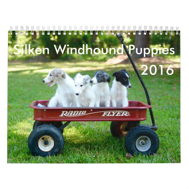 kalender för 6 2016 Silken Windhound valpar (Omslag)