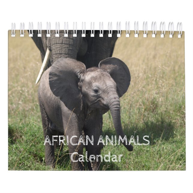 Kalender för afrikanska djur (Omslag)