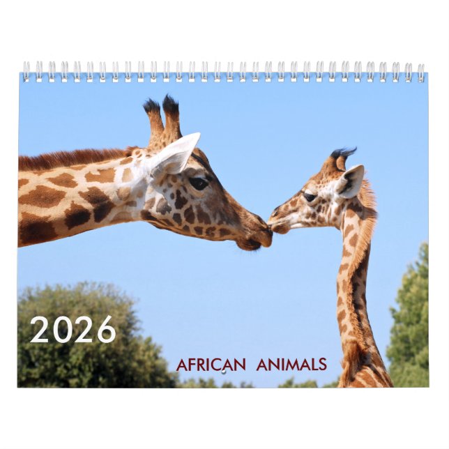 Kalender för afrikanska djur (Omslag)