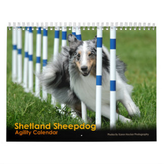 Kalender för Agility för Shetland Sheepdog