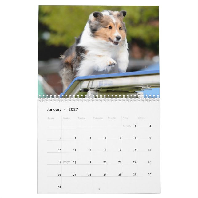 Kalender för Agility för Shetland Sheepdog (Jan 2027)