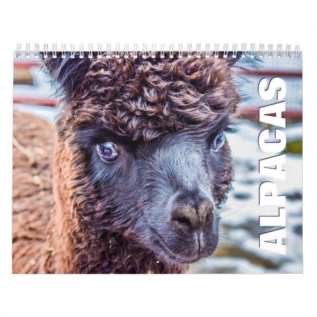 Kalender för alfanumeriska väggar (Omslag)
