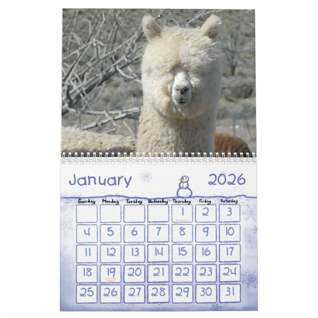 KALENDER FÖR ALPACAKÄRLEK 2011 (Jan 2026)