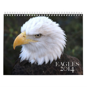 Kalender för amerikanörn 2014