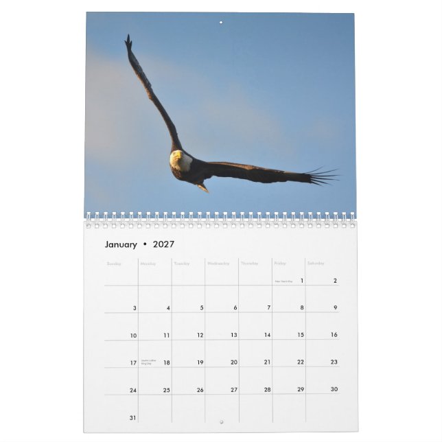 Kalender för amerikanörn 2014 (Jan 2027)