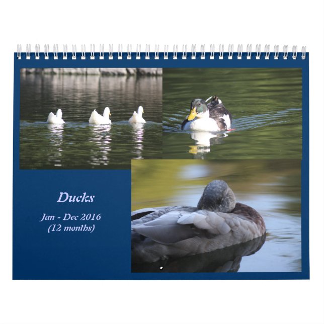 Kalender för Anka 2016 (Omslag)