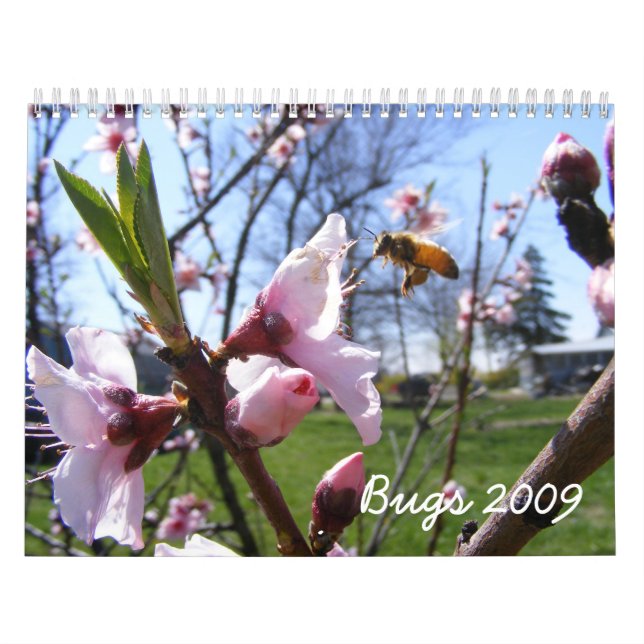 Kalender för Anpassade Kryp (Omslag)