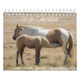 Kalender för användarfotot