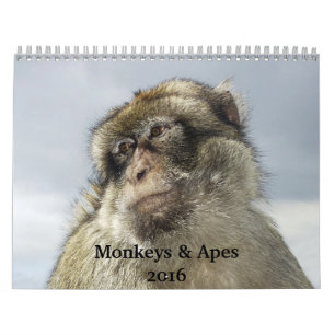 Kalender för apor och apes 2016