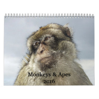 Kalender för apor och apes 2016