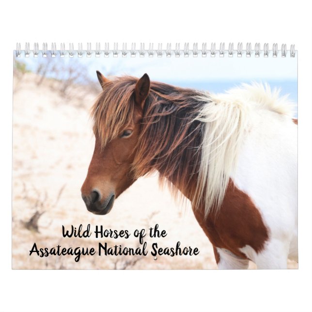Kalender för Assateague Vild Horses (Omslag)