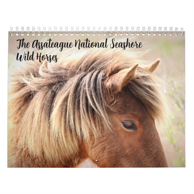 Kalender för Assateague Vild Horses (Omslag)